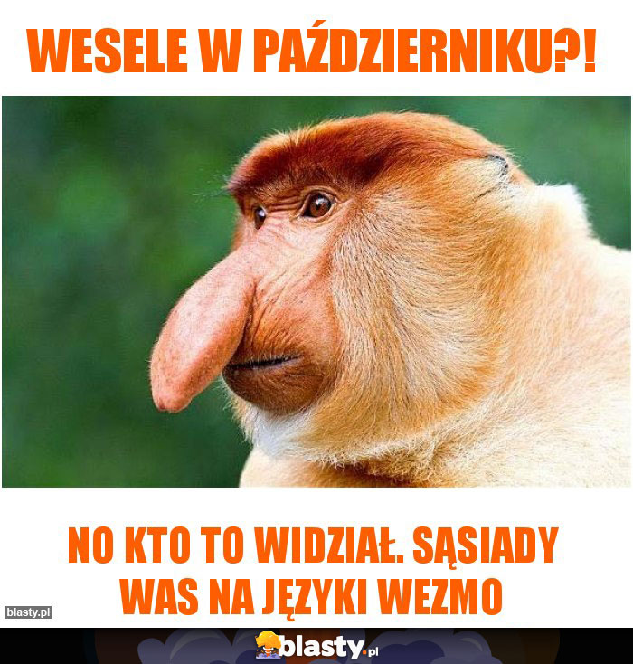 Wesele w październiku?!