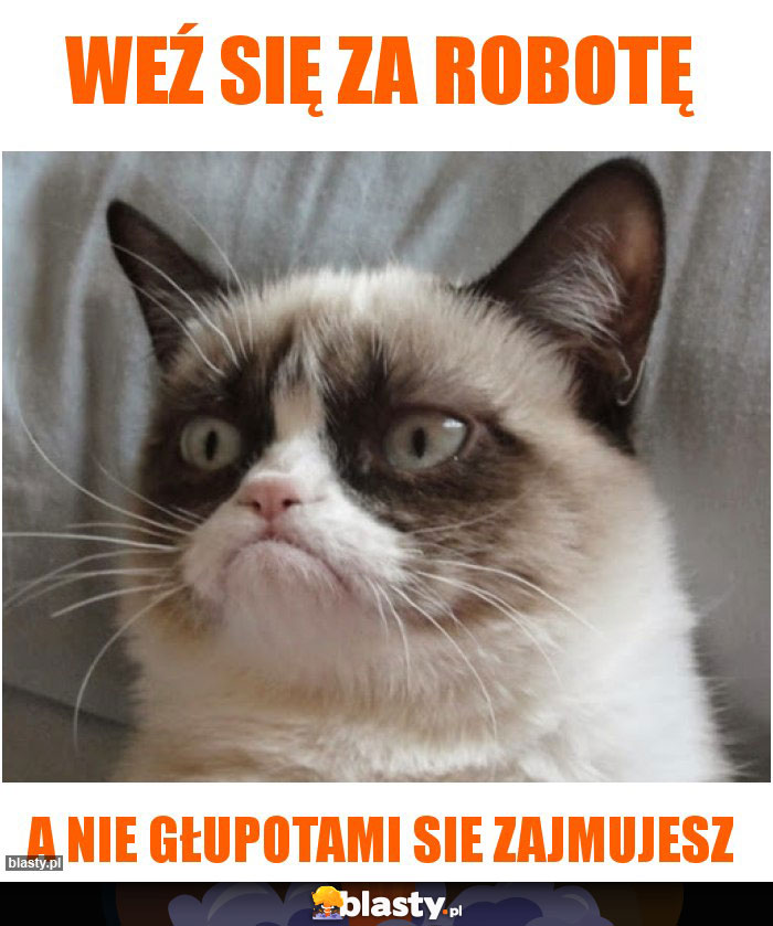 WEŹ SIĘ ZA ROBOTĘ