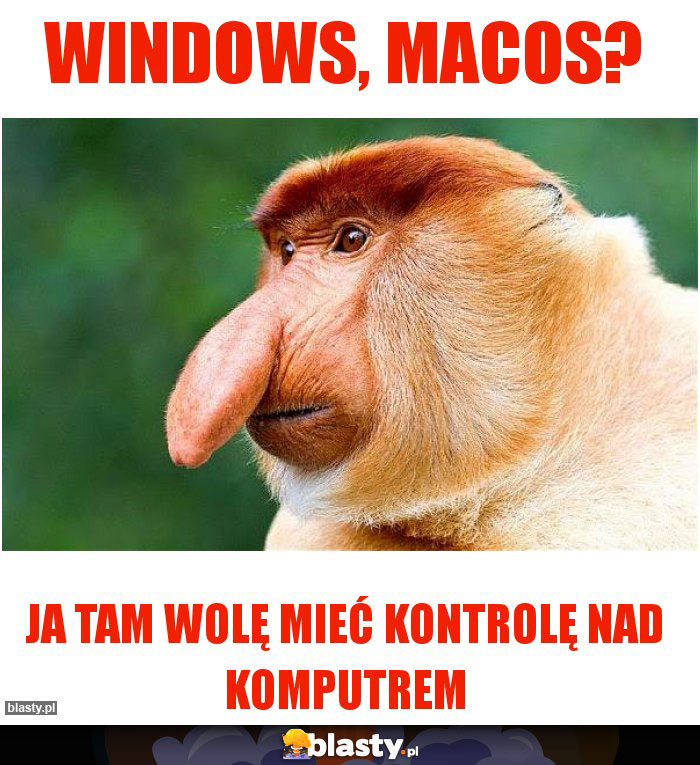 Windows, macos?