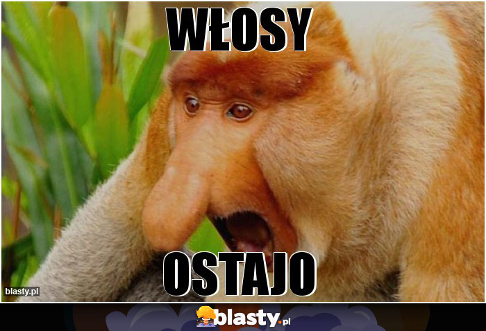 Włosy