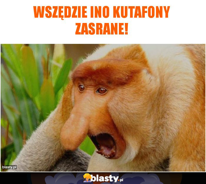 Wszędzie ino kutafony zasrane!