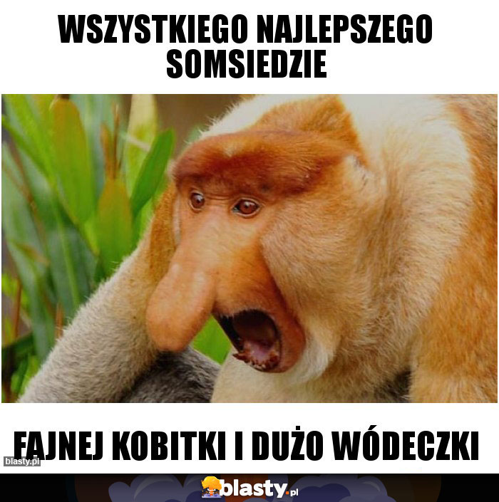 WSZYSTKIEGO NAJLEPSZEGO SOMSIEDZIE