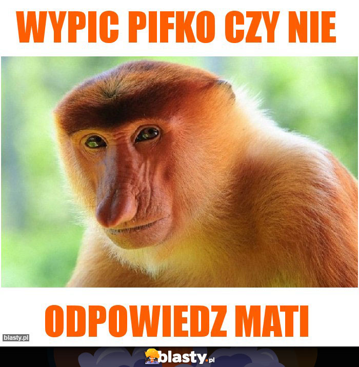 WYPIC PIFKO CZY NIE