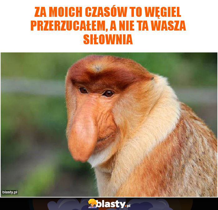 Za moich czasów to węgiel przerzucałem, a nie ta wasza siłownia