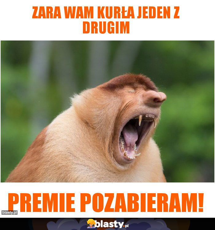 ZARA WAM KURŁA JEDEN Z DRUGIM