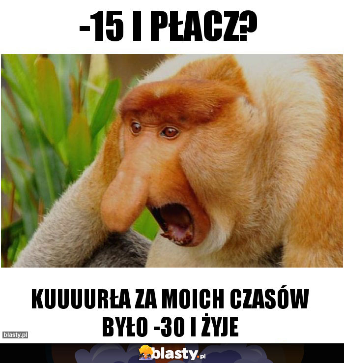 -15 i płacz?