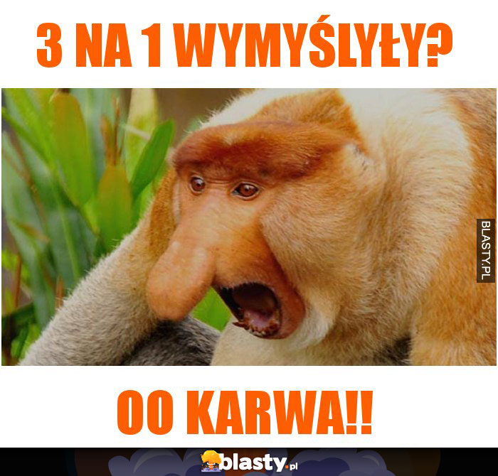 3 na 1 wymyślyły?