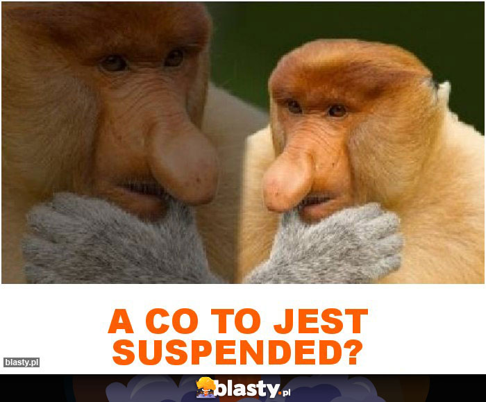 A co to jest suspended?