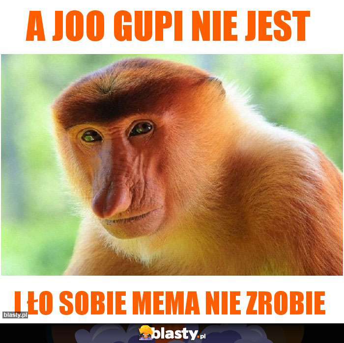 A joo gupi nie jest