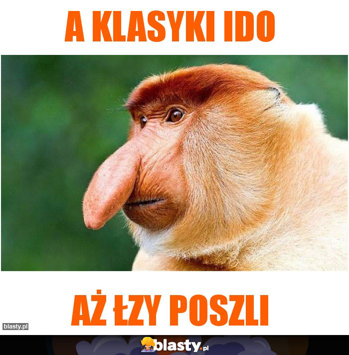 A klasyki ido