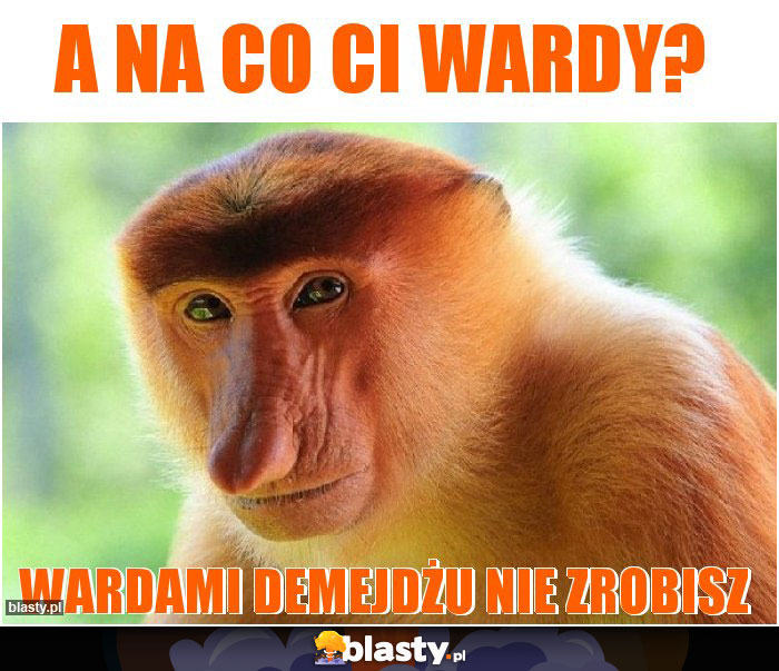 A na co Ci wardy?