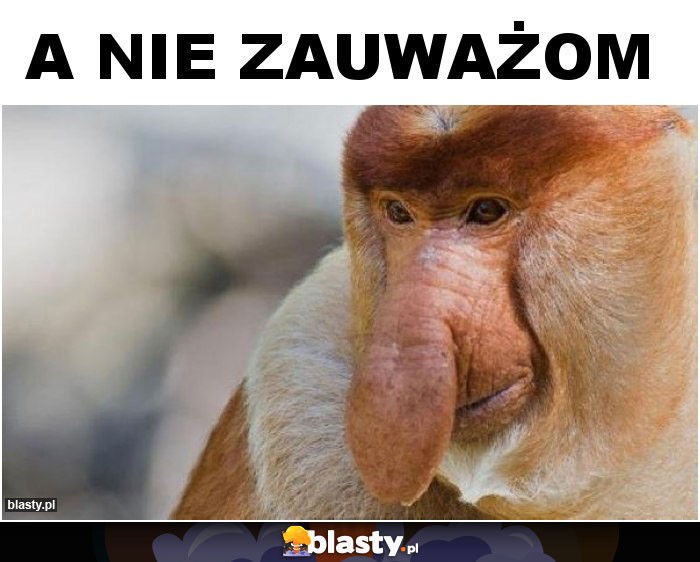 A nie zauważom