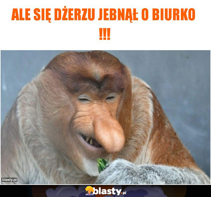 Ale się Dżerzu jebnął o biurko !!!