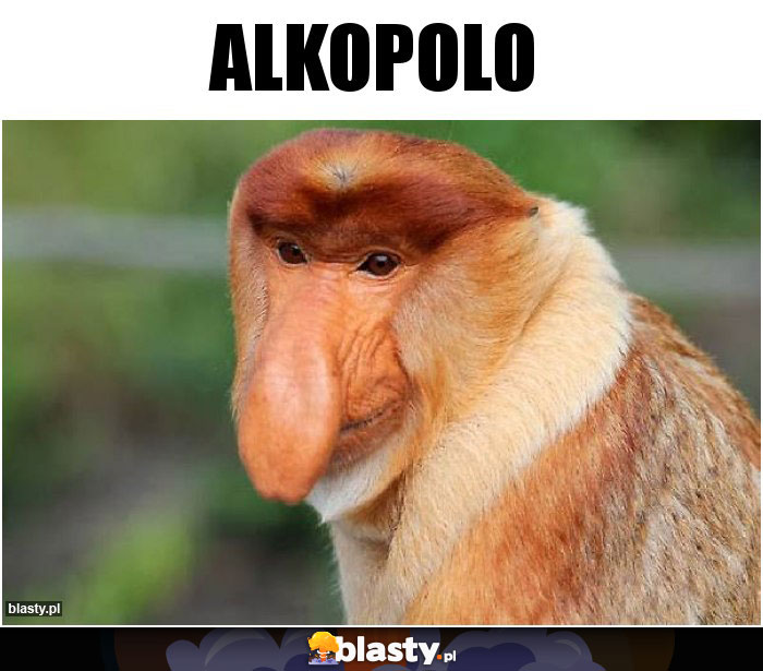 Alkopolo