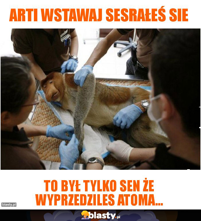 Arti wstawaj sesrałeś sie