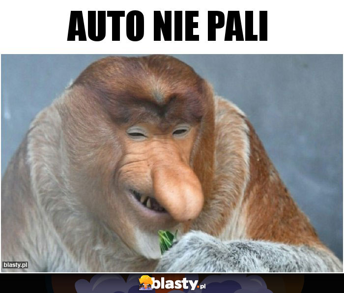 Auto nie pali