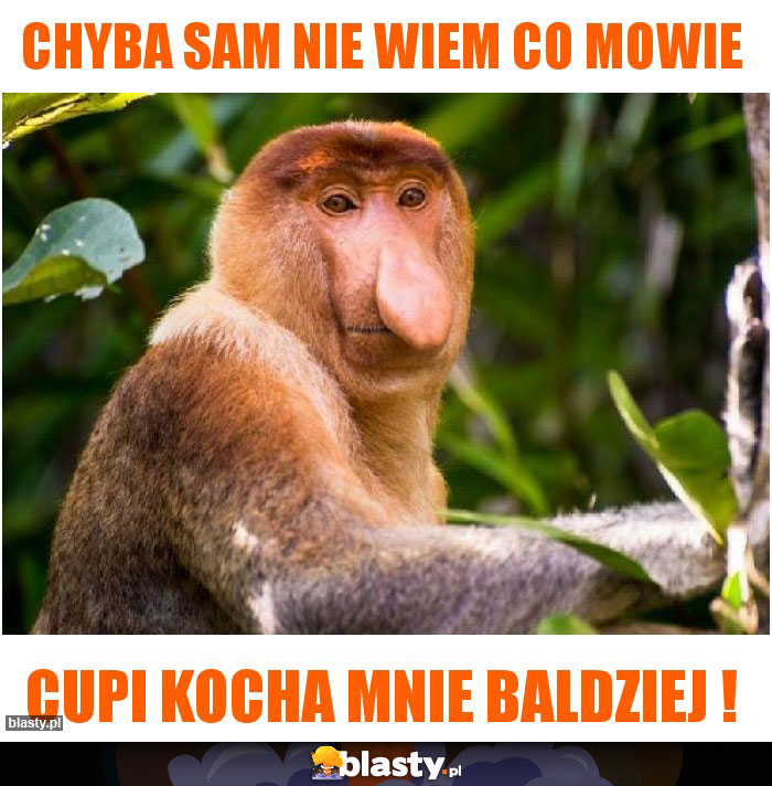 CHYBA SAM NIE WIEM CO MOWIE