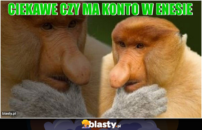 ciekawe czy ma konto w enesie