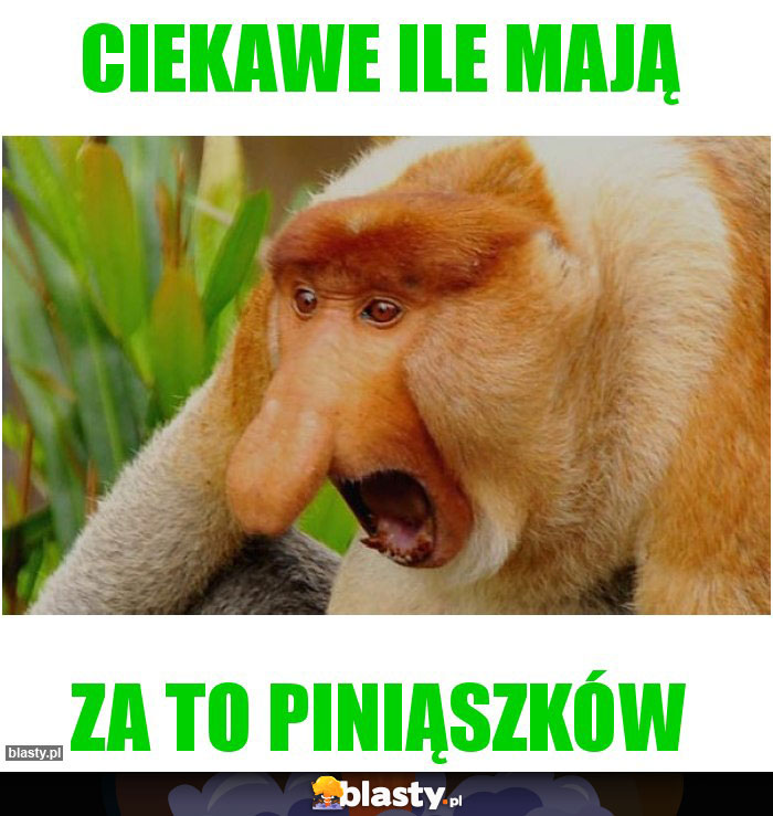 Ciekawe ile mają