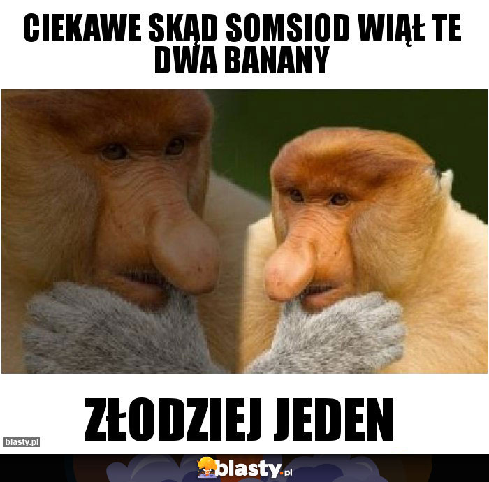 ciekawe skąd somsiod wiął te dwa banany