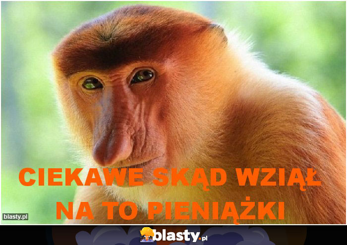 ciekawe skąd wziął na to pieniążki