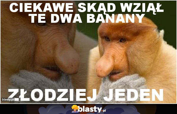 ciekawe skąd wziął te dwa banany