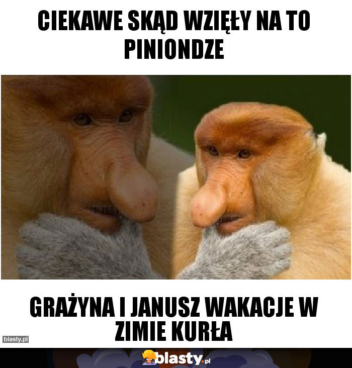 Ciekawe skąd wzięły na to piniondze