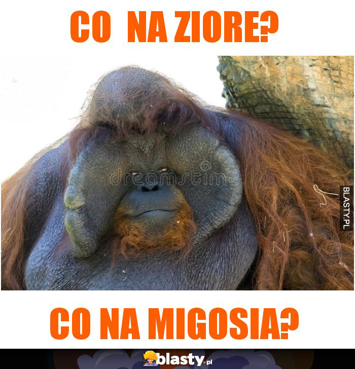 co  na ziore?