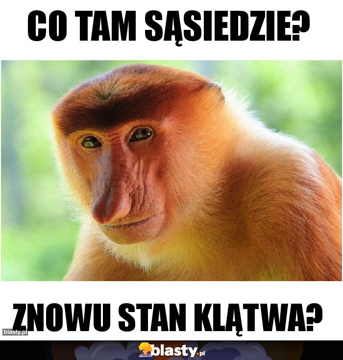 Co tam sąsiedzie?