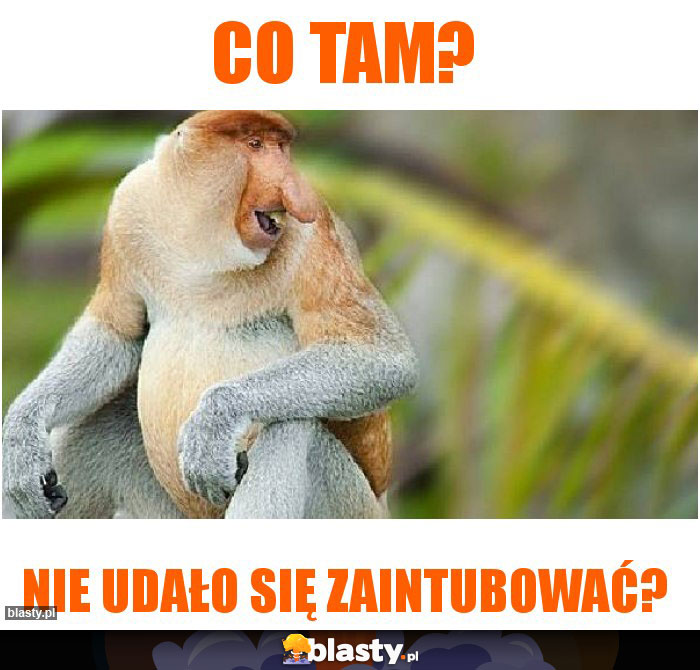 Co tam?