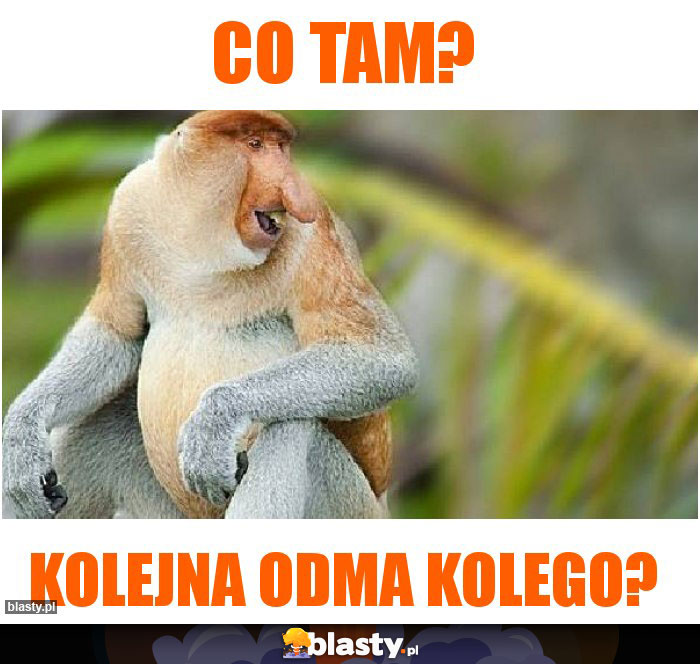 Co tam?