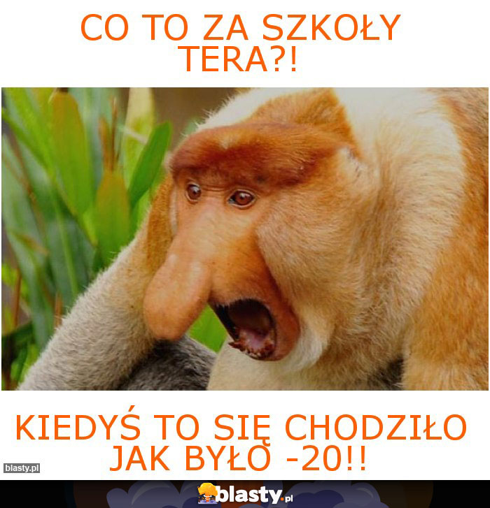 co to za szkoły tera?!