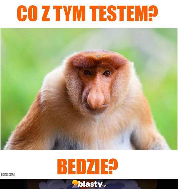 Co z tym testem?