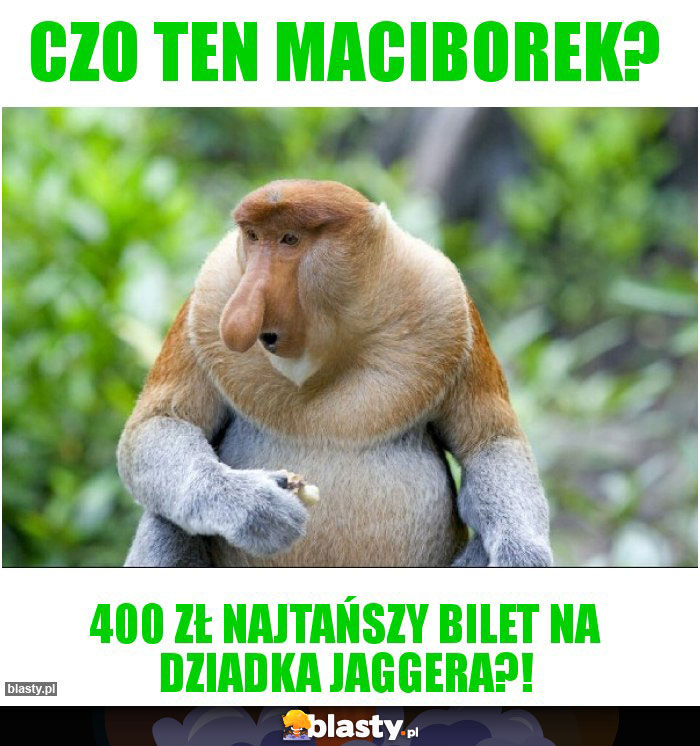 CZO TEN MACIBOREK?