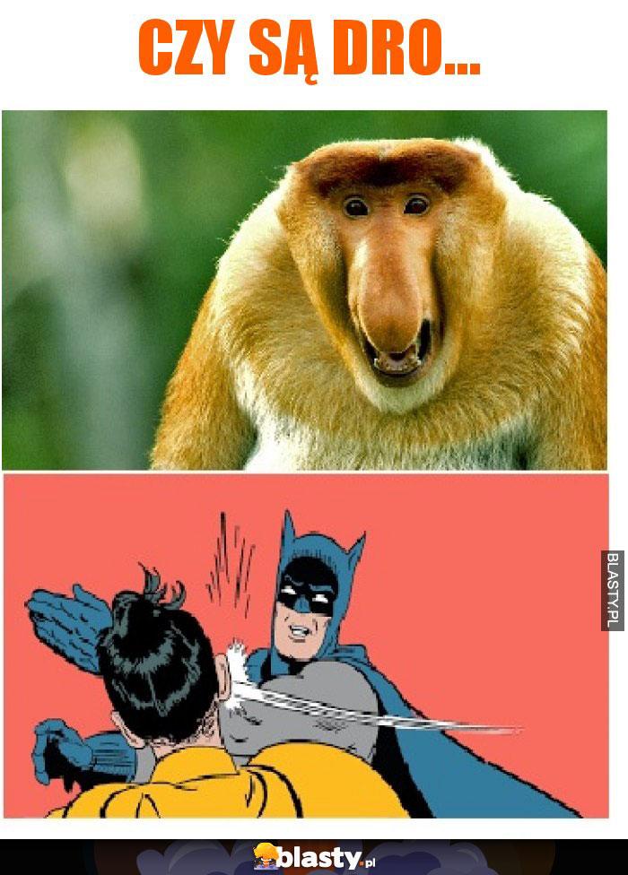 czy są dro...