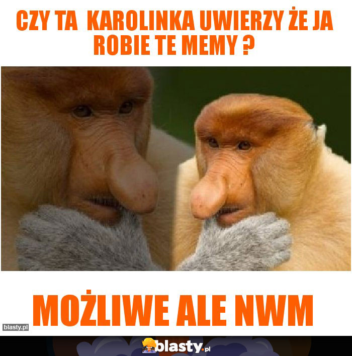 Czy ta  karolinka uwierzy że ja robie te memy ?