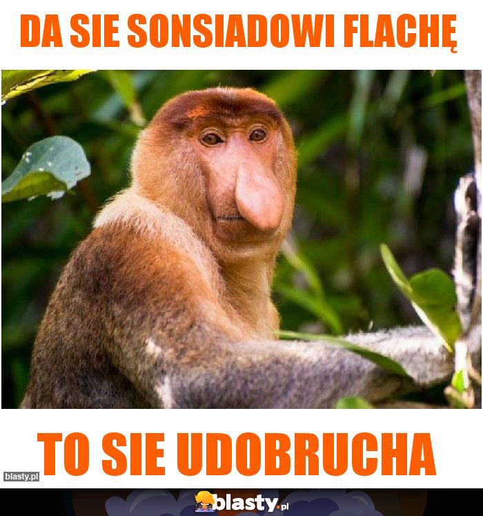 DA SIE SONSIADOWI FLACHĘ