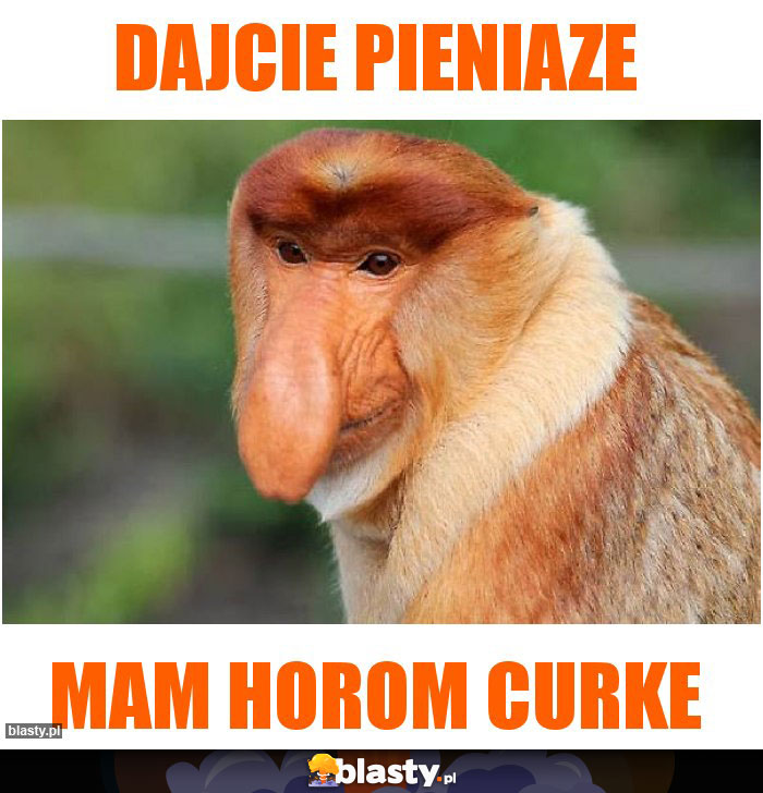 Dajcie pieniaze