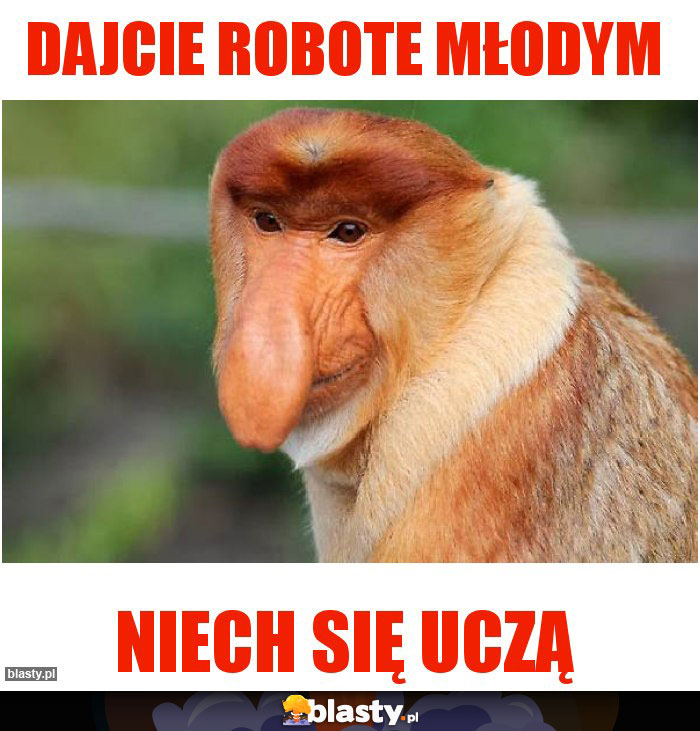 Dajcie robote młodym