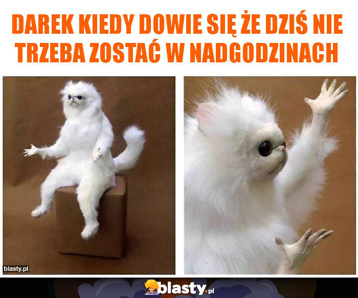 Darek kiedy dowie się że dziś nie trzeba zostać w nadgodzinach