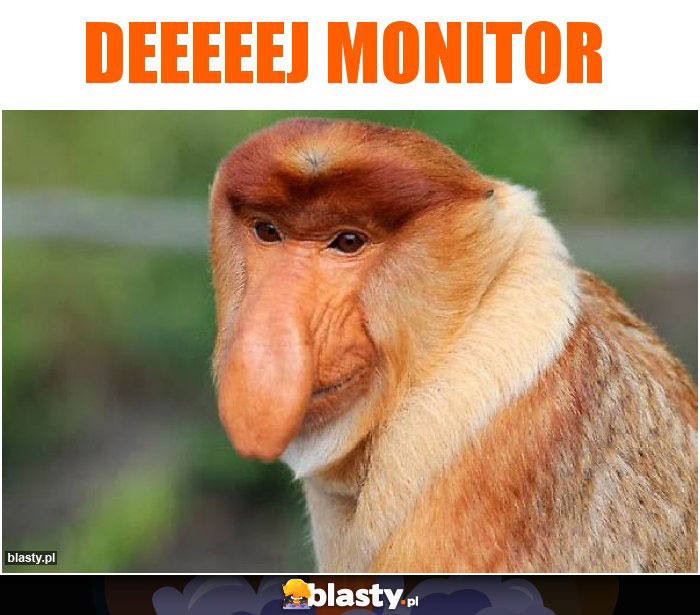 DEEEEEJ MONITOR