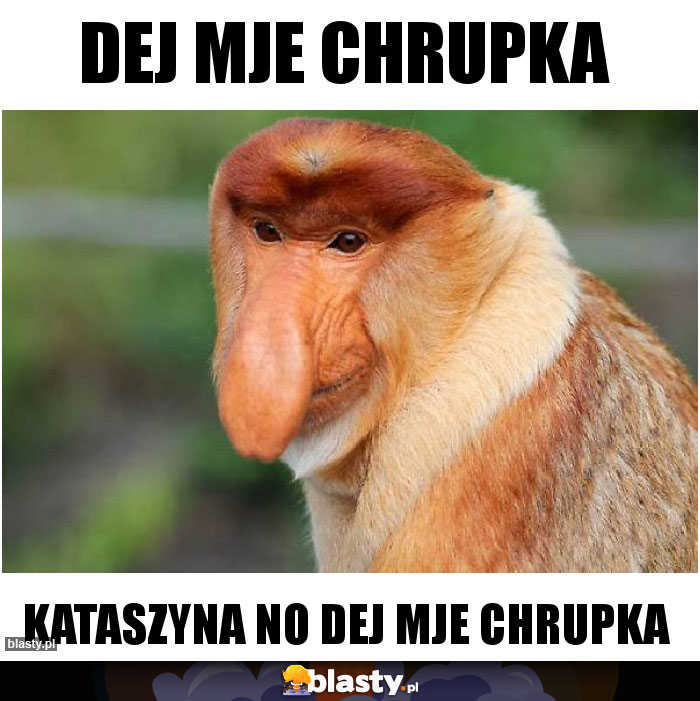 Dej mje chrupka