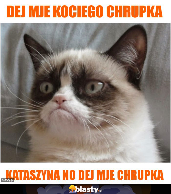 Dej mje kociego chrupka