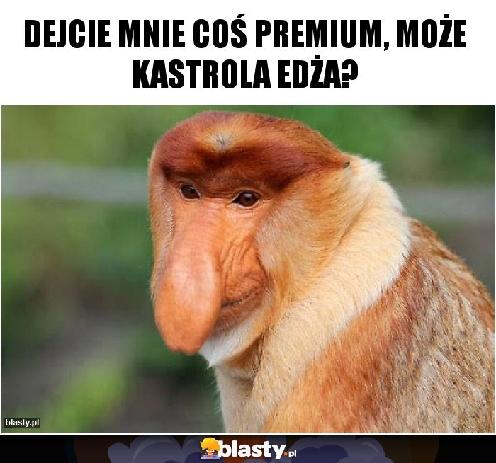 Dejcie mnie coś premium, może kastrola Edża?