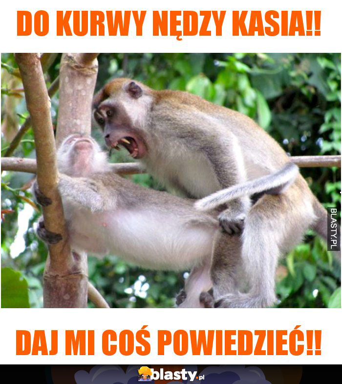 do kurwy nędzy Kasia!!