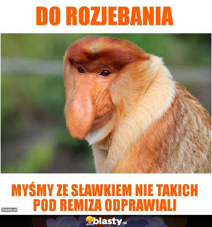 Do rozjebania