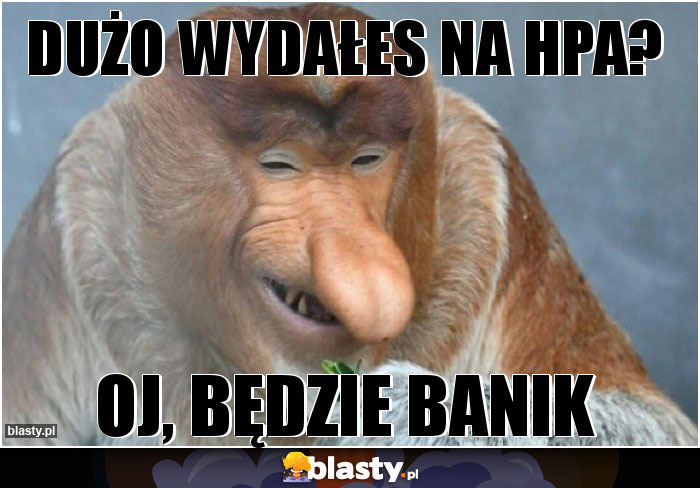 duŻo wydaŁes na hpa?