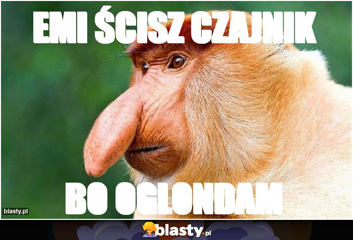 Emi ścisZ czajnik