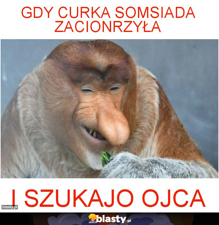 Gdy curka somsiada zacionrzyła