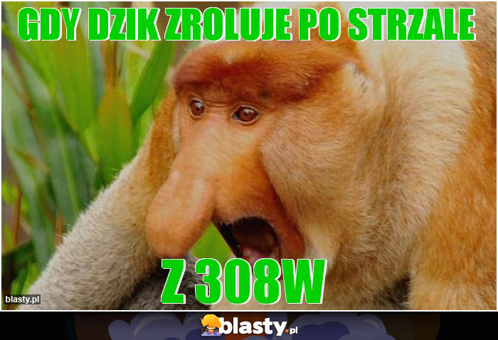 Gdy dzik zroluje po strzale